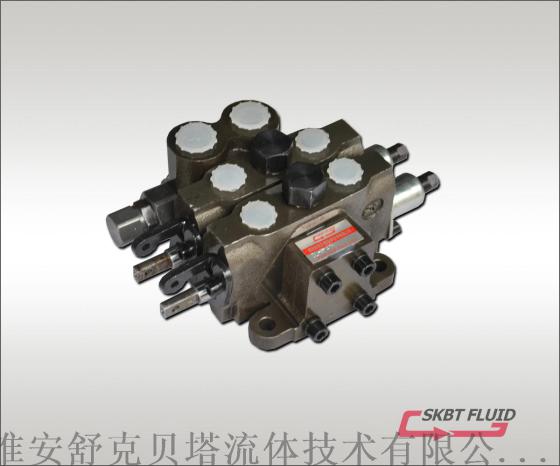 DL-8-2YT多路阀