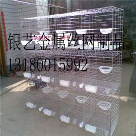 河北安平鸽子笼 镀锌铁丝鸽子笼 价格优惠 质量保证 13180015992
