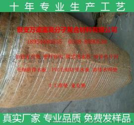 厂价优惠供应优质环保植被毯 抗冲刷植被毯 环保草毯 山东泰安万德富 18954880555