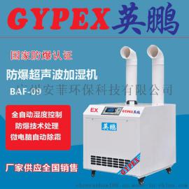 储藏室防爆加湿器，甘肃防爆加湿器