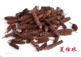 供应夏枯球种子 夏枯球种子价格