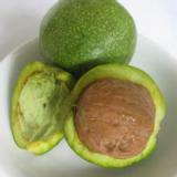 【冯氏核桃王】青皮核桃——美味佳肴