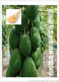 木瓜粉 天然木瓜果粉 80-100目 水溶性好