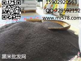优质黑米批发网厂家直销