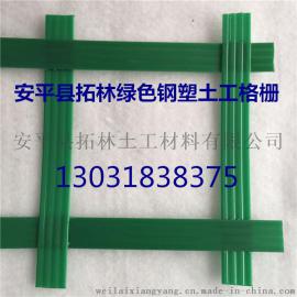 贵州盘县 护山绿化用土工格栅 绿色钢塑土工格栅厂家直销