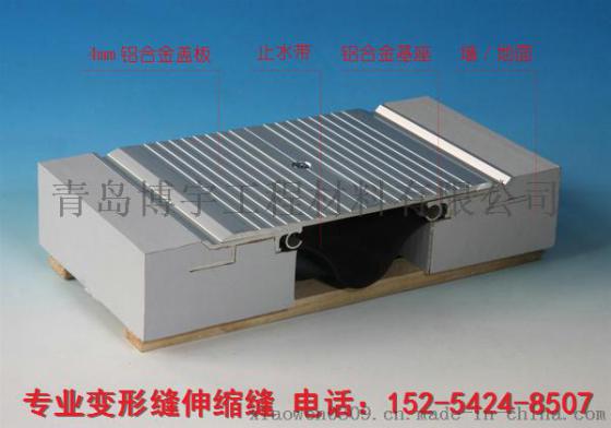 潍坊 伸缩缝 SK