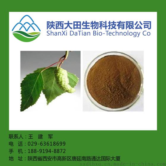 桦树提取物10:1 桦树素