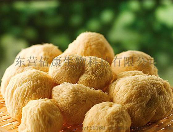 猴头菇片剂代加工 专业定制健康营养片OEM加工