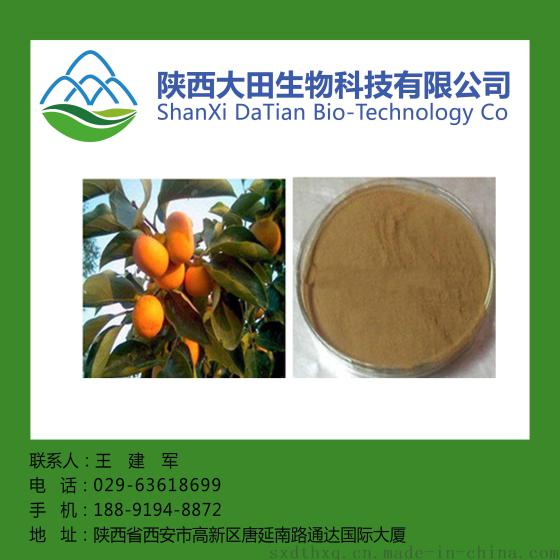 西安现货柿子蒂提取物10:1