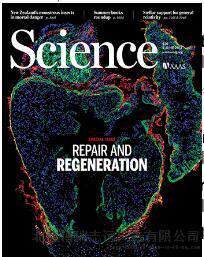 美国科学SCIENCE广告如何刊登发布