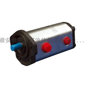 CB2A双联齿轮泵CB2A-F6/4