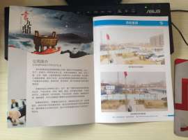 彩页|海报|画册|手提袋|联单等设计印刷|郑州睿泰设计