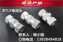 BTLY电缆头 BTLY电缆附件
