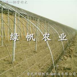 供应冬暖式蔬菜大棚 钢管竹木/PVC冬暖式  土墙体温室