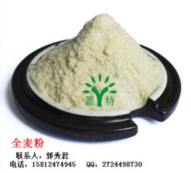 赢特 PQM300N080全麦粉膨化全麦五谷杂粮粉 80-120目全麦粉定制超微 优质全麦粉