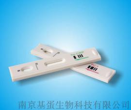 降钙素原PCT定量检测卡