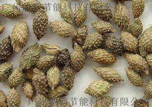 苍耳子烘干机、中药材烘干机