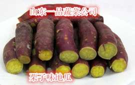 板栗地瓜莱阳特产