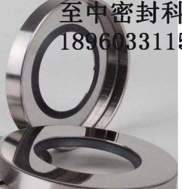 聚四氟乙烯（PTFE）油封 耐腐蚀不锈钢油封