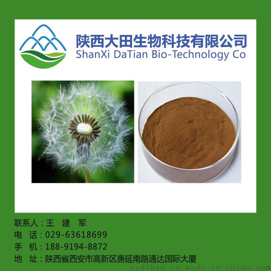 厂家直供蒲公英提取物10: 1