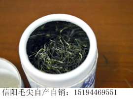 河北哪有批发信阳毛尖的