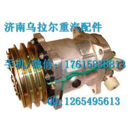 重汽 豪沃 HOWO 全车配件 制冷压缩机 WG1500139000