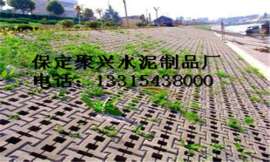 道路两侧水泥衬砌护坡