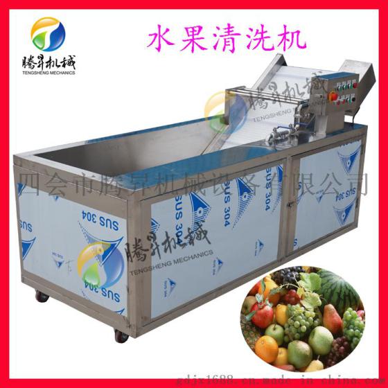 供应果菜清洗机气泡臭氧洗菜机果蔬臭氧解毒清洗机