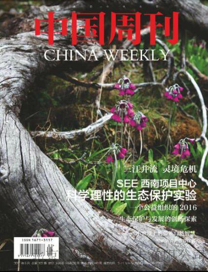 中国周刊广告代理发布，中国周刊广告刊例