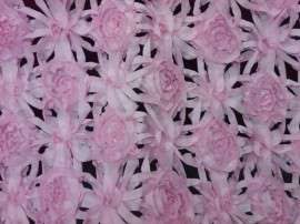 盘带绣 WAFFLE WEAVE TAFF
