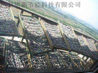 海参烘干机、海产品烘干机