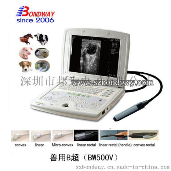 BW500V便携式兽用B超 B超厂家 宠物医疗 宠物医疗用品 宠物B超