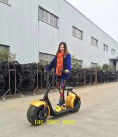 沃趣塞夫同款艾普仕哈雷电动车酷车