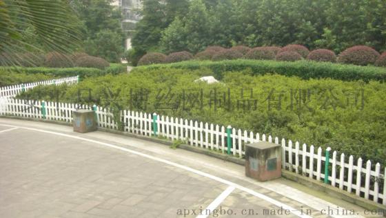 城市道路绿化带围栏，pvc草坪围栏