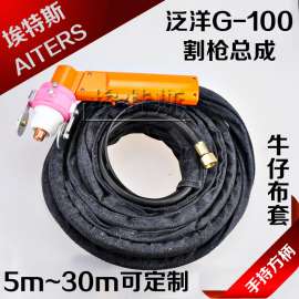 泛洋G-100割枪 方柄泛洋G-100割枪 便携式等离子泛洋G-100割枪