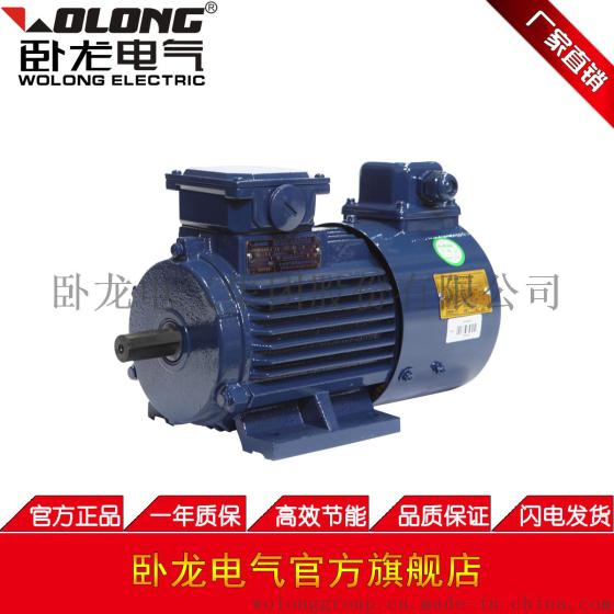 WOLONG/卧龙 BPY系列变频调速三相异步电动机