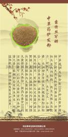 青海中草药茶麸洗头养发 西宁中草药茶麸洗头养发馆加盟