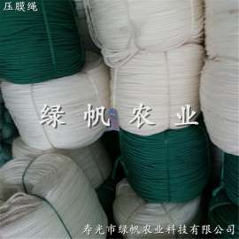 供应蔬菜大棚专用压膜绳 尼龙绳 压膜带