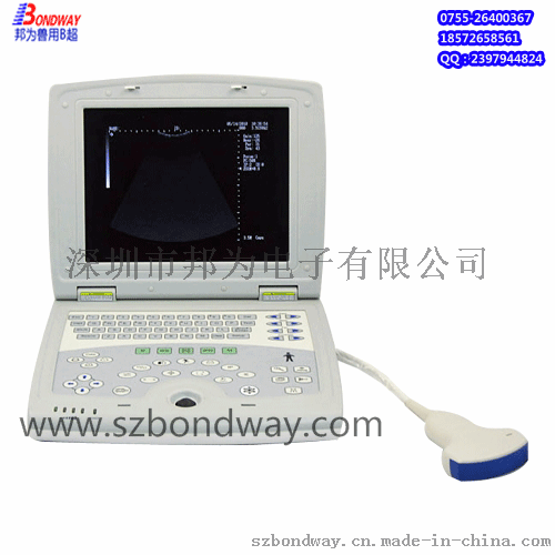 最新款兽用B超 宠物医疗设备 兽用器械