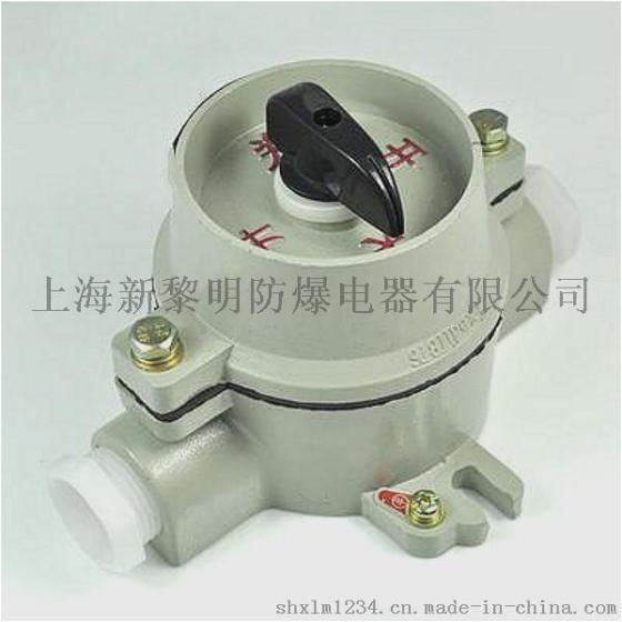 SW-10防爆照明开关，防爆转换开关，防爆防腐开关