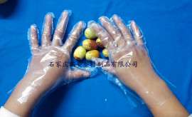 一次性PE手套知名品牌