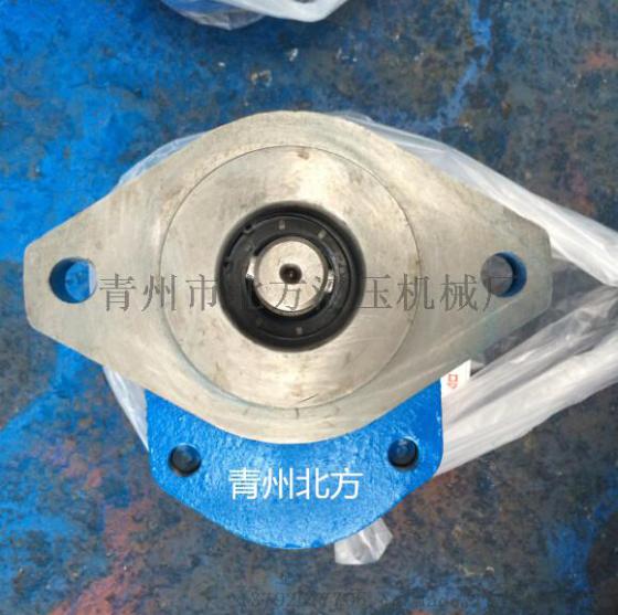 山东北方供应环卫车齿轮泵CBY3063-172L