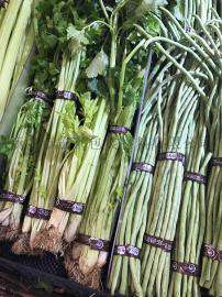 每日新鲜超市果蔬扎口胶带 环保扎菜胶带
