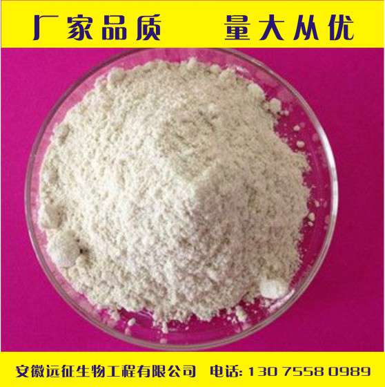 厂家直销食品级壳聚糖